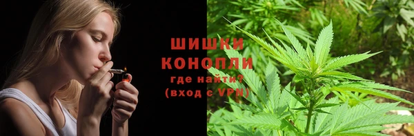 ПСИЛОЦИБИНОВЫЕ ГРИБЫ Алзамай