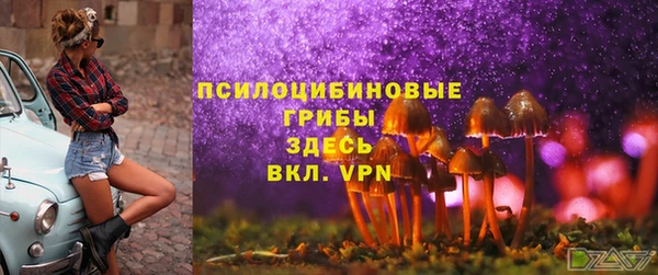 меф Няндома